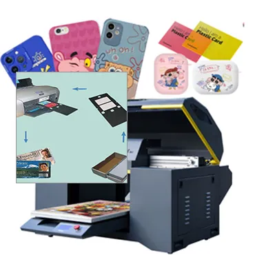 Why Choose Plastic Card ID
 for Your Evolis Printer Needs